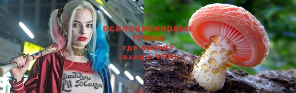 метадон Алексеевка