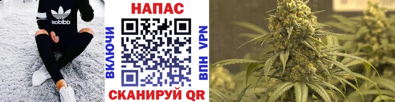 Конопля ГИДРОПОН  Владимир 